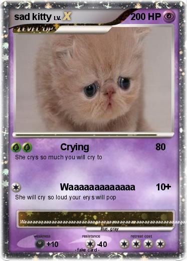 Pokemon sad kitty