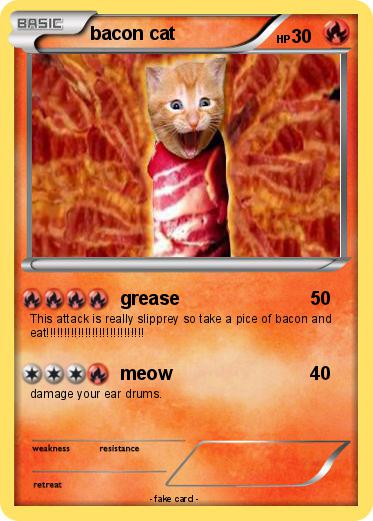 Pokemon bacon cat
