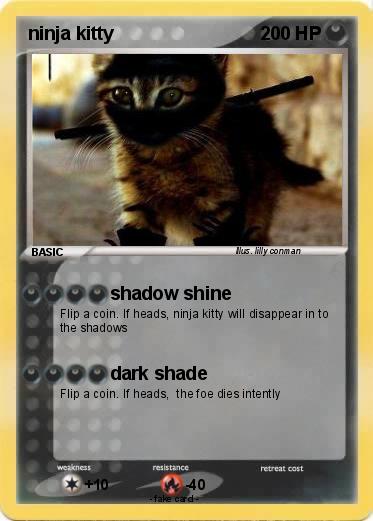 Pokemon ninja kitty