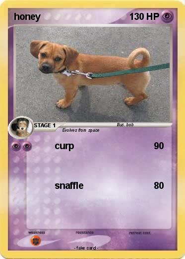 Pokemon honey