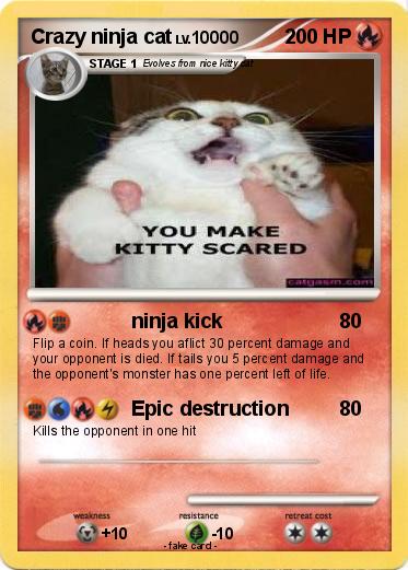Pokemon Crazy ninja cat