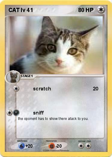 Pokemon CAT lv 41