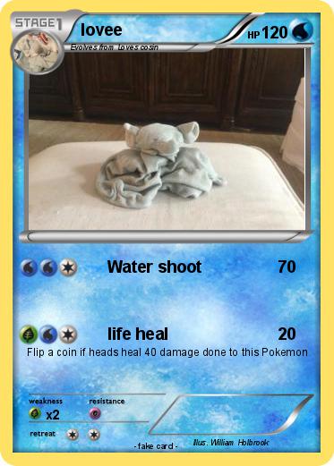 Pokemon lovee