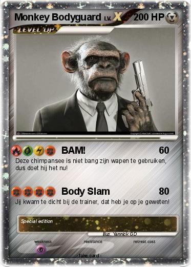 Pokemon Monkey Bodyguard