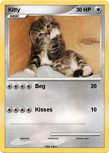 Pokemon Kitty
