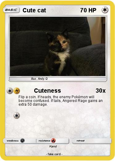 Pokemon Cute cat