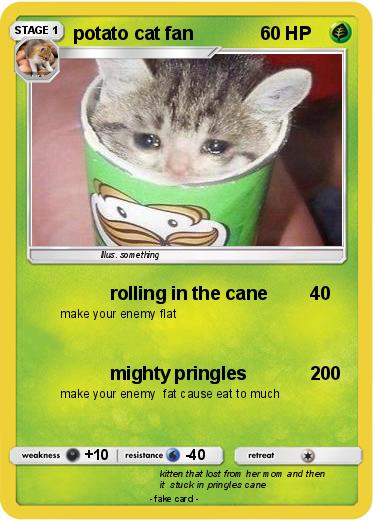 Pokemon potato cat fan