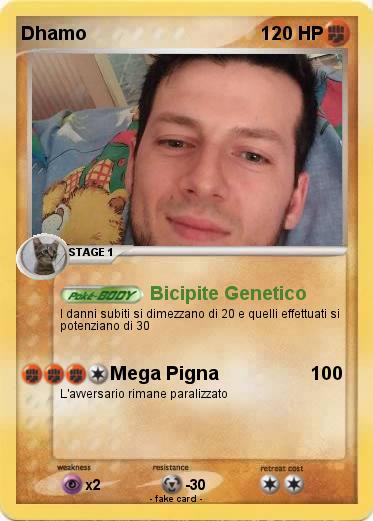 Pokemon Dhamo