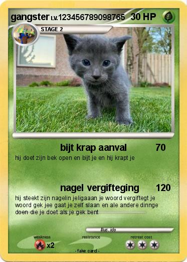 Pokemon gangster