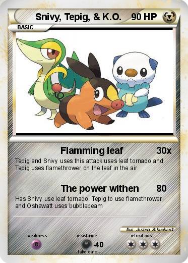 Pokemon Snivy, Tepig, & K.O.