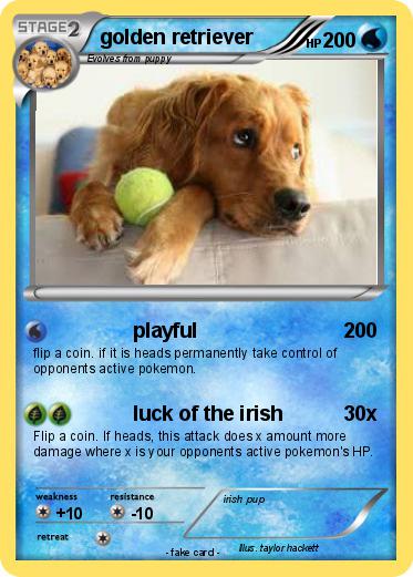 Pokemon golden retriever