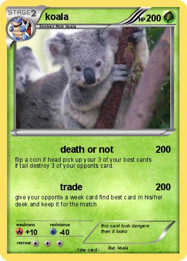 Pokemon koala
