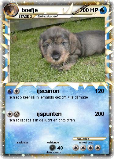 Pokemon boefje
