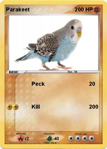 Pokemon Parakeet