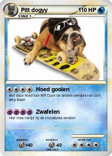 Pokemon Pitt dogyy