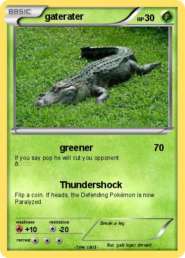 Pokemon gaterater