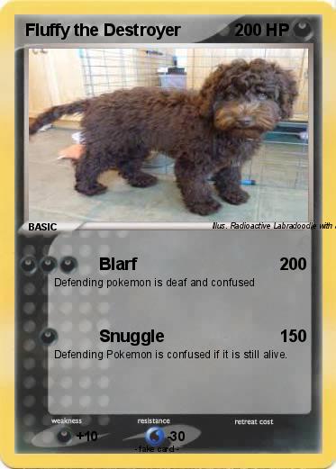 Pokemon Fluffy the Destroyer