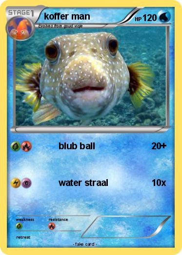 Pokemon koffer man