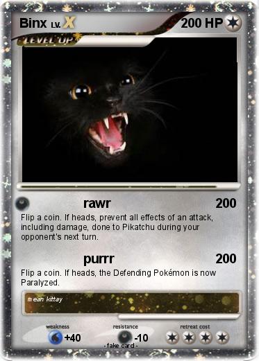 Pokemon Binx