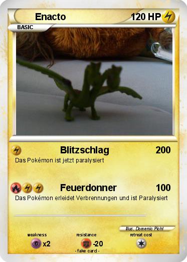 Pokemon Enacto