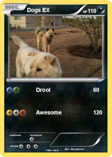Pokemon Dogs EX