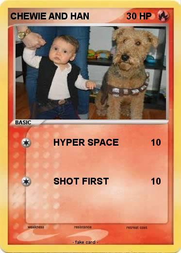 Pokemon CHEWIE AND HAN