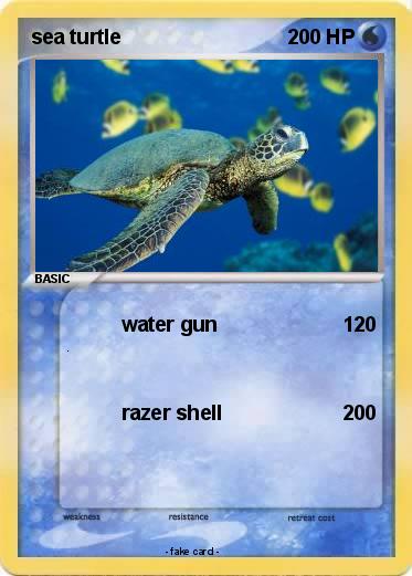 Pokemon sea turtle
