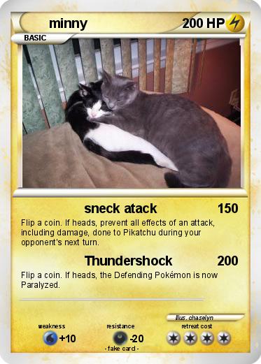 Pokemon minny