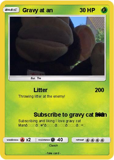 Pokemon Gravy at an