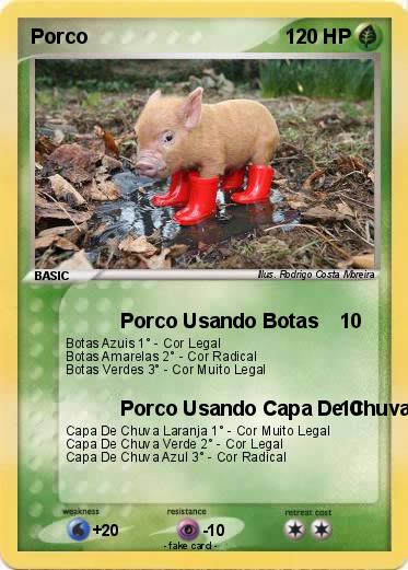 Pokemon Porco