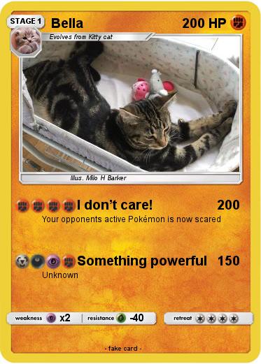 Pokemon Bella