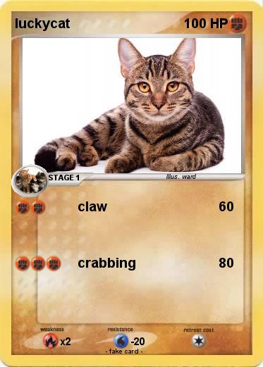 Pokemon luckycat