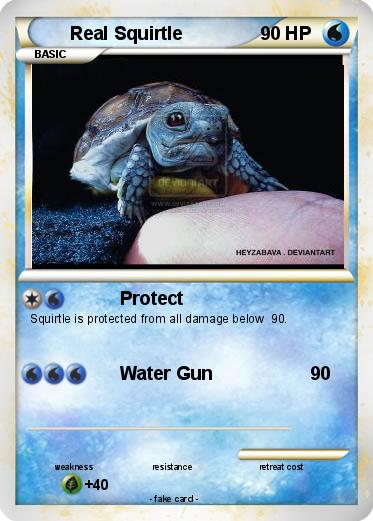 Pokemon Real Squirtle