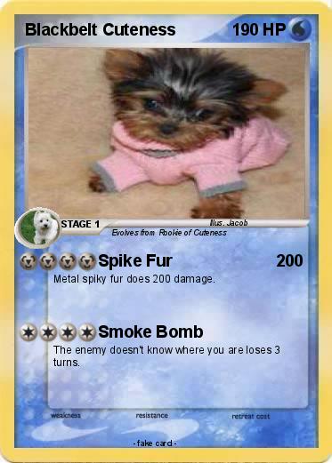 Pokemon Blackbelt Cuteness