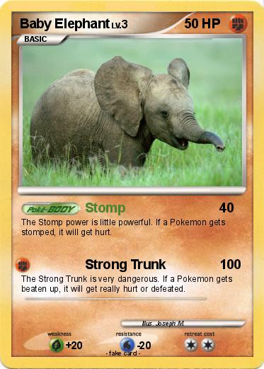 Pokemon Baby Elephant