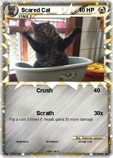 Pokemon Scared Cat