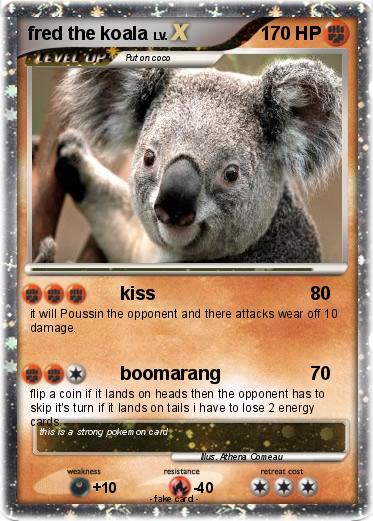 Pokemon fred the koala