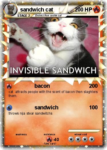 Pokemon sandwich cat