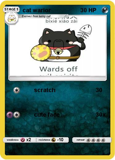 Pokemon cat warior