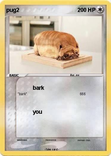 Pokemon pug2