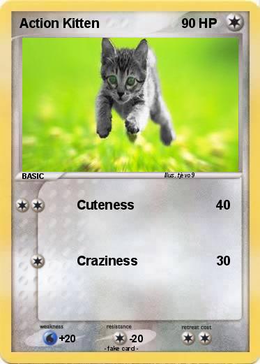Pokemon Action Kitten