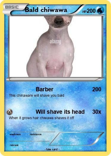 Pokemon Bald chiwawa
