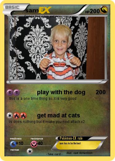 Pokemon sam