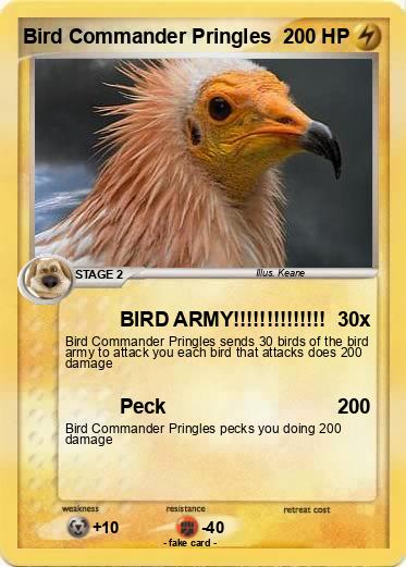 Pokemon Bird Commander Pringles