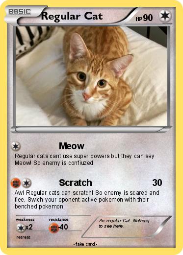 Pokemon Regular Cat