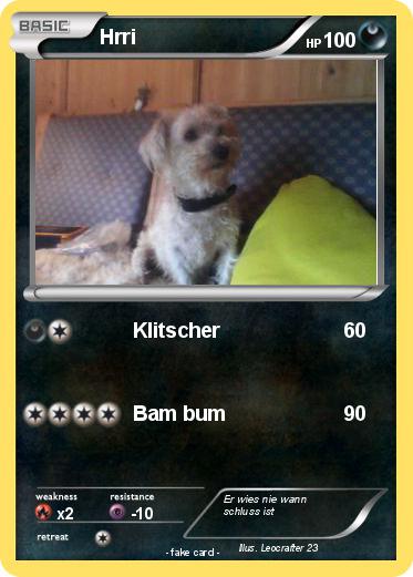 Pokemon Hrri