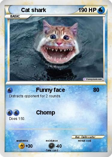 Pokemon Cat shark