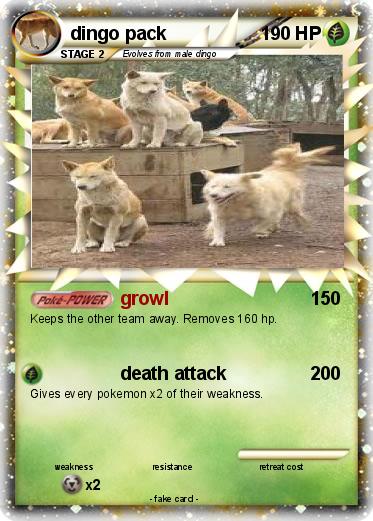 Pokemon dingo pack