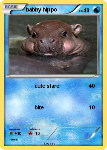 Pokemon babby hippo