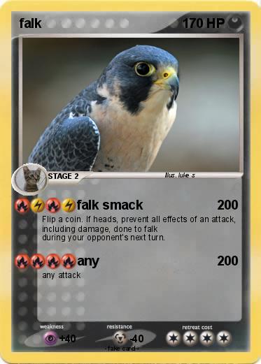 Pokemon falk